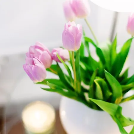 Deluxe Lwp7 아파트 바덴바덴