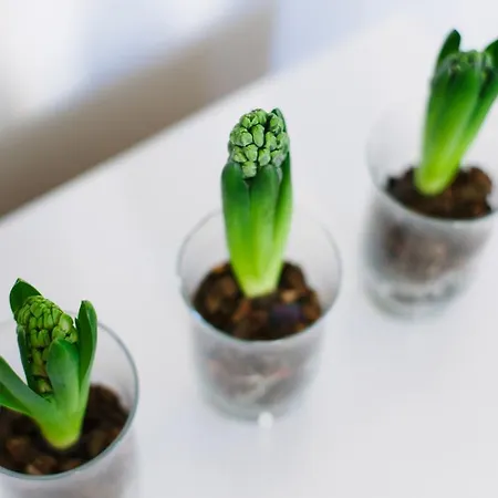 Deluxe Lwp7 Апартаменты *