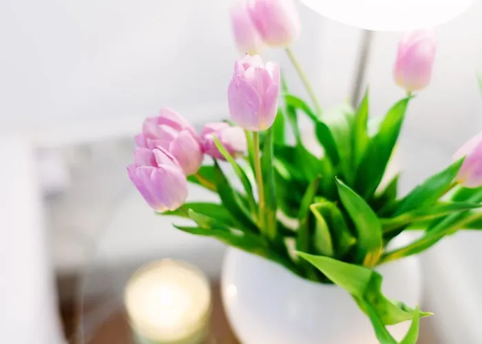 Deluxe Lwp7 Appartement Baden-Baden